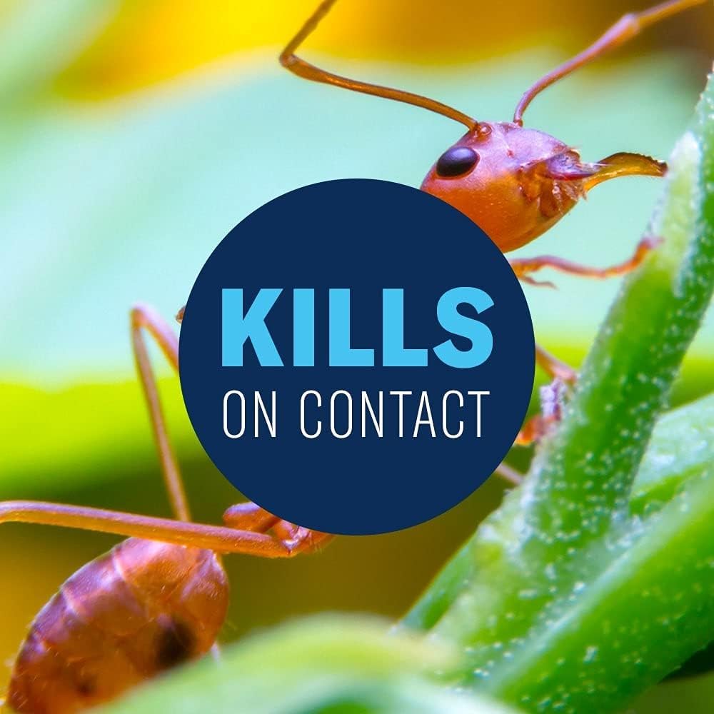 24 Hour Lawn Insect & Fire Ant Killer Concentrate 32 oz M610