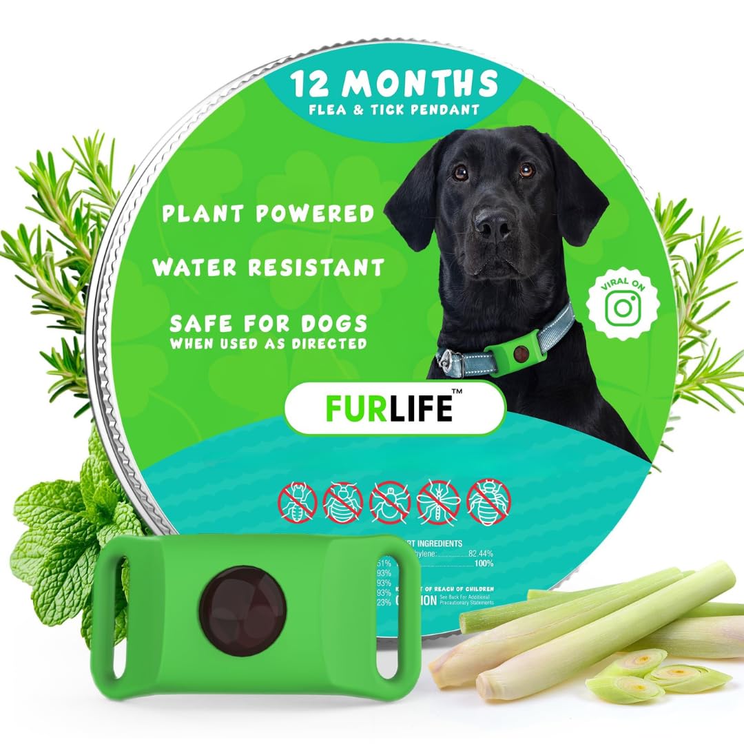 Green Dog Tag B6364