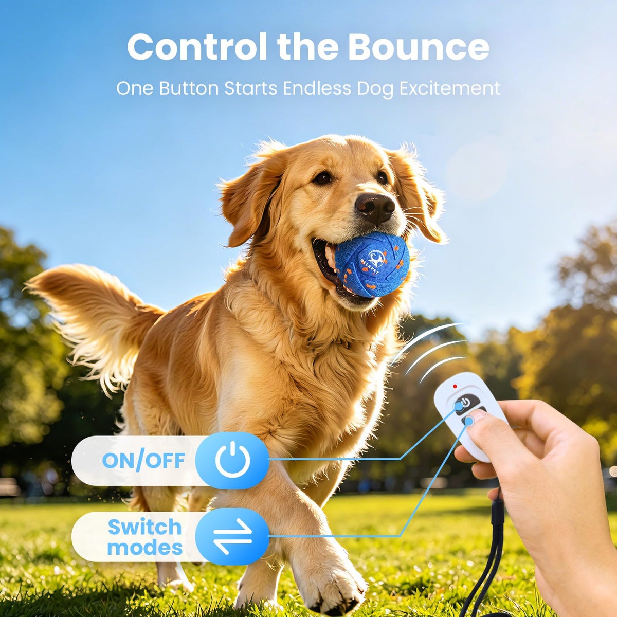 Interactive Dog Toy Ball I964