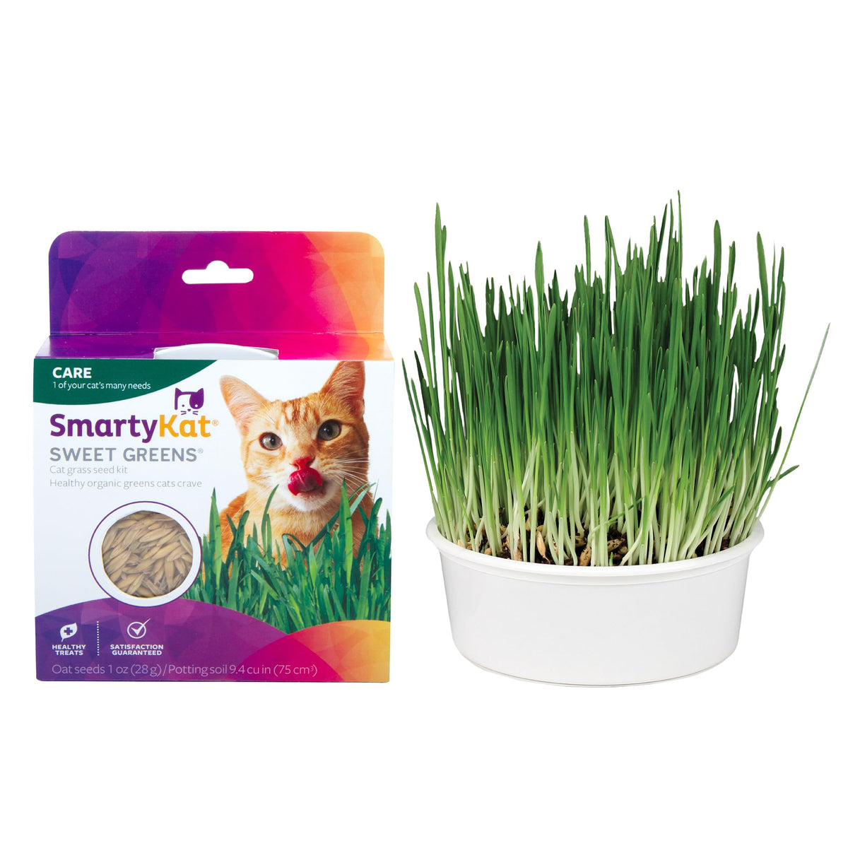 Organic Oat Grass Cat Grass Grow Kit P7041