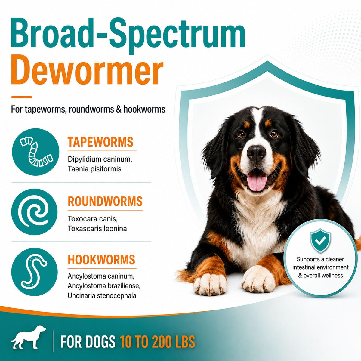 Dog Dewormer 48 Count J450930