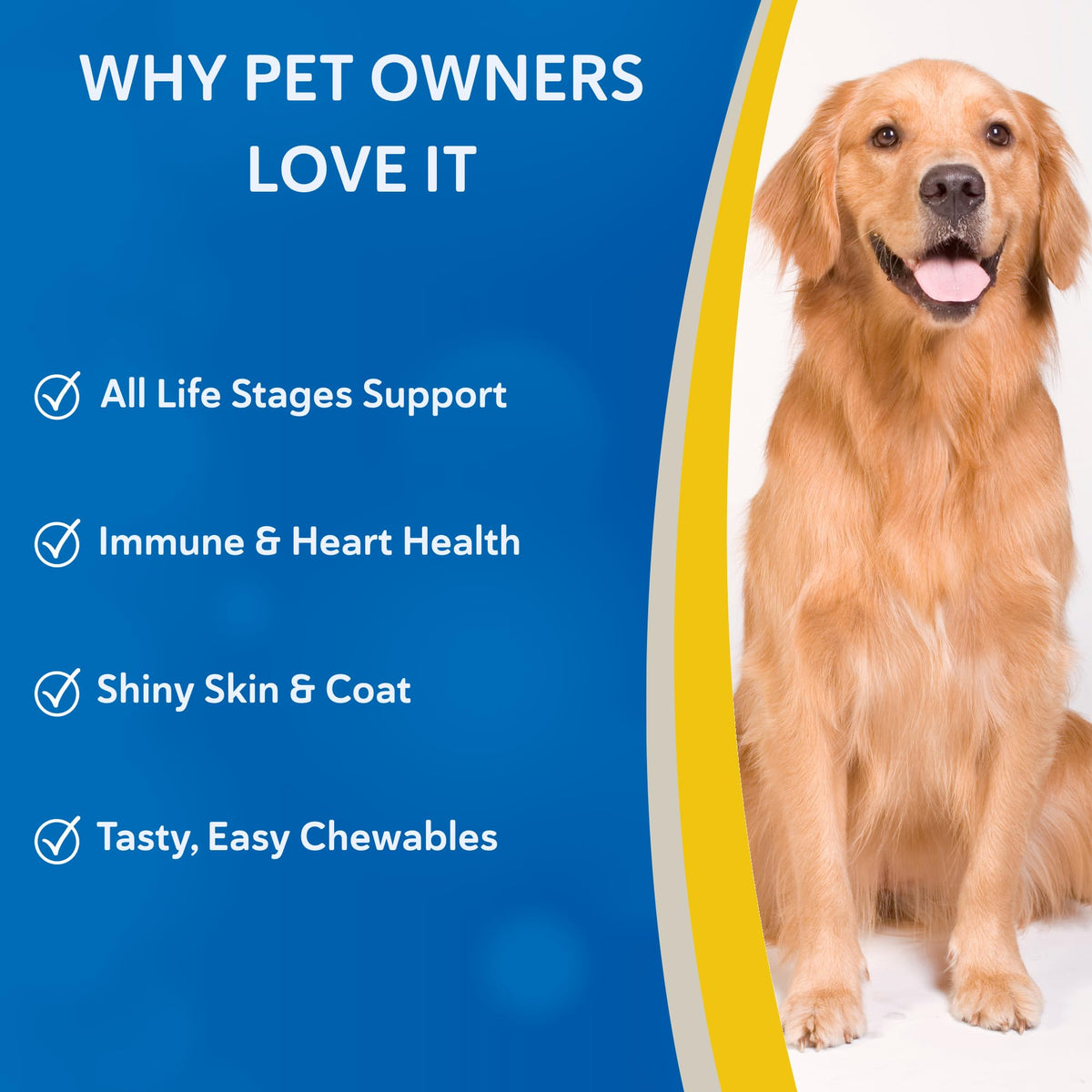 Canine Chewable Multivitamin Tablets 365ct B19745