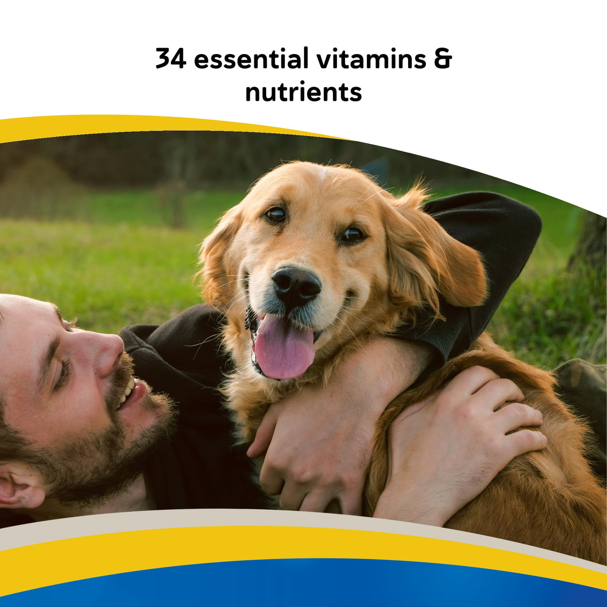 Canine Chewable Multivitamin Tablets 365ct B19745
