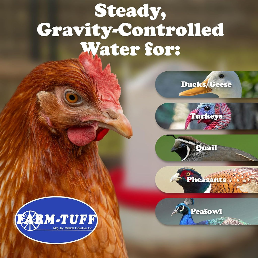 3 Gallon Plastic Poultry Waterer N856755