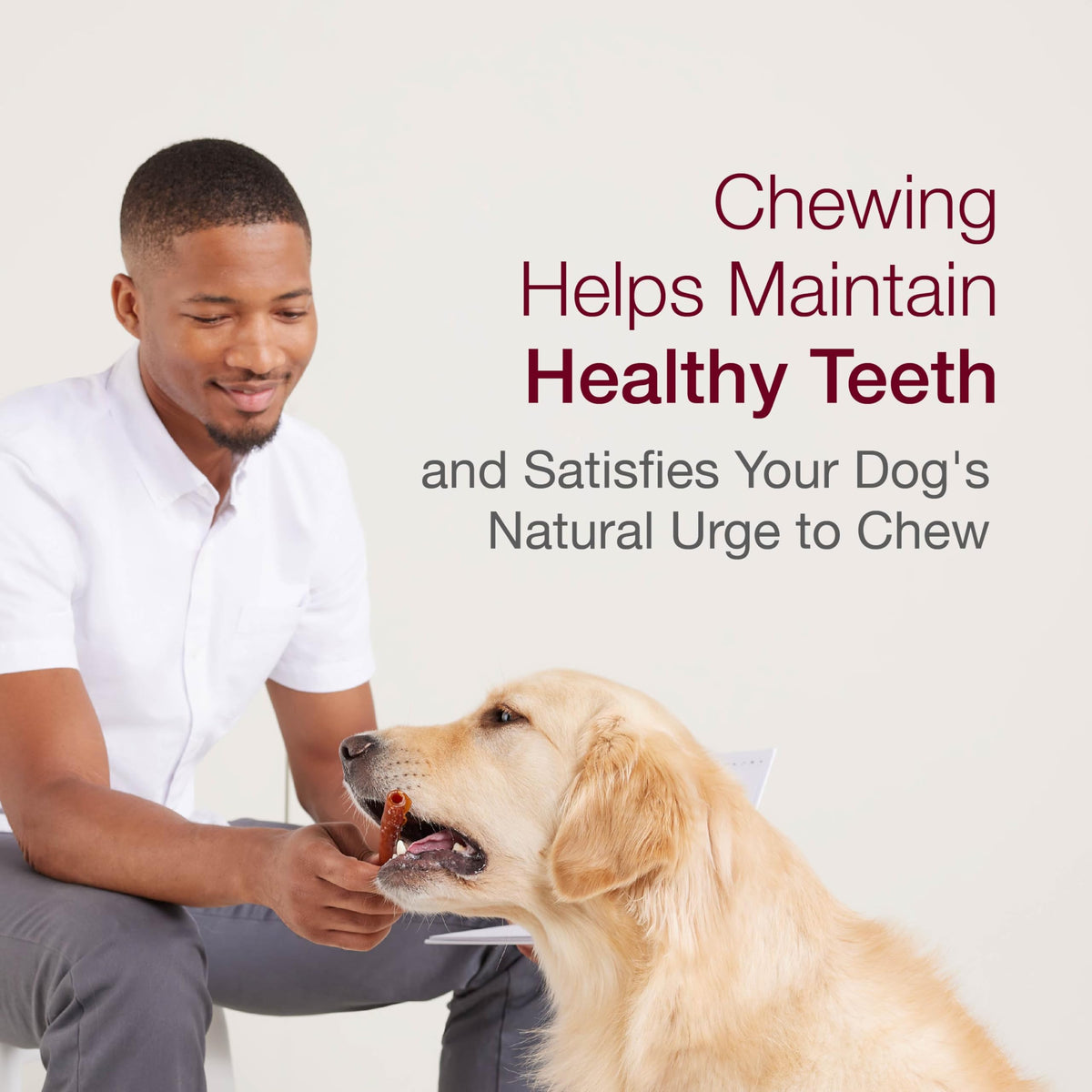 Peanut Butter Rawhide-Free Dog Treats 50 Count P6814