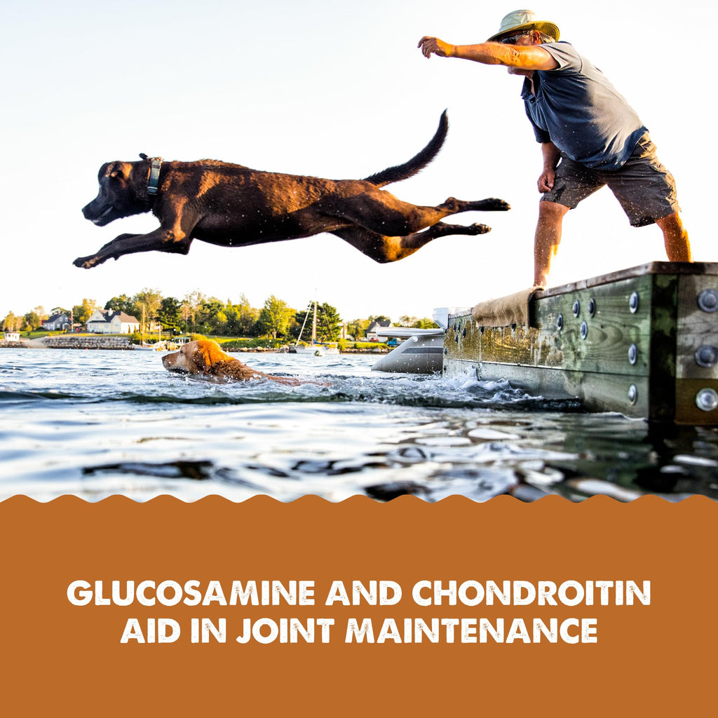 Joint Health Supplement for Dogs and Cats, 32 Ounce M819686