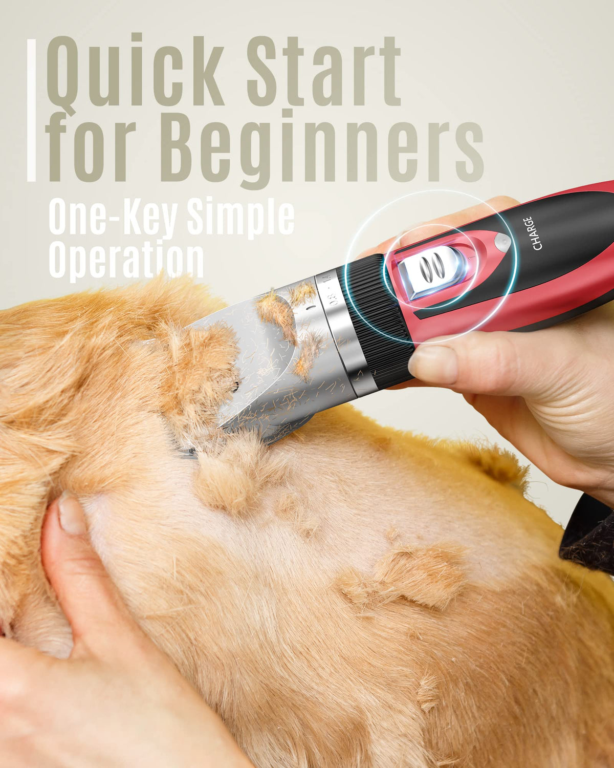 Dog Shaver Clippers and Nail Grinder Paw Trimmer Kit Y857306