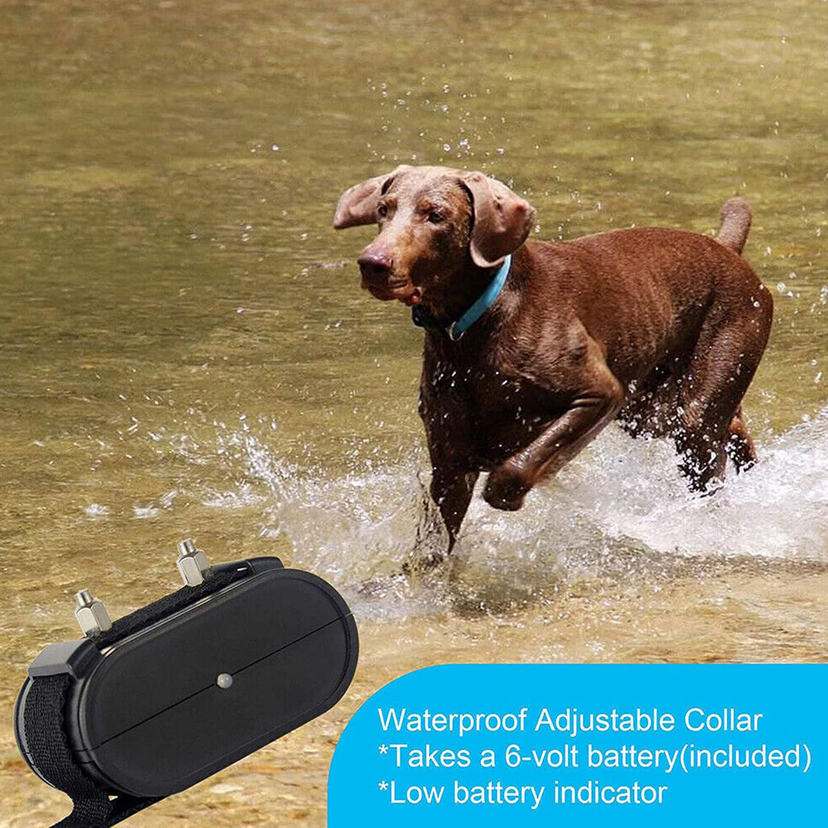 Electric Dog Fence, In-Ground Pet Containment System, Waterproof Training Collar N708117