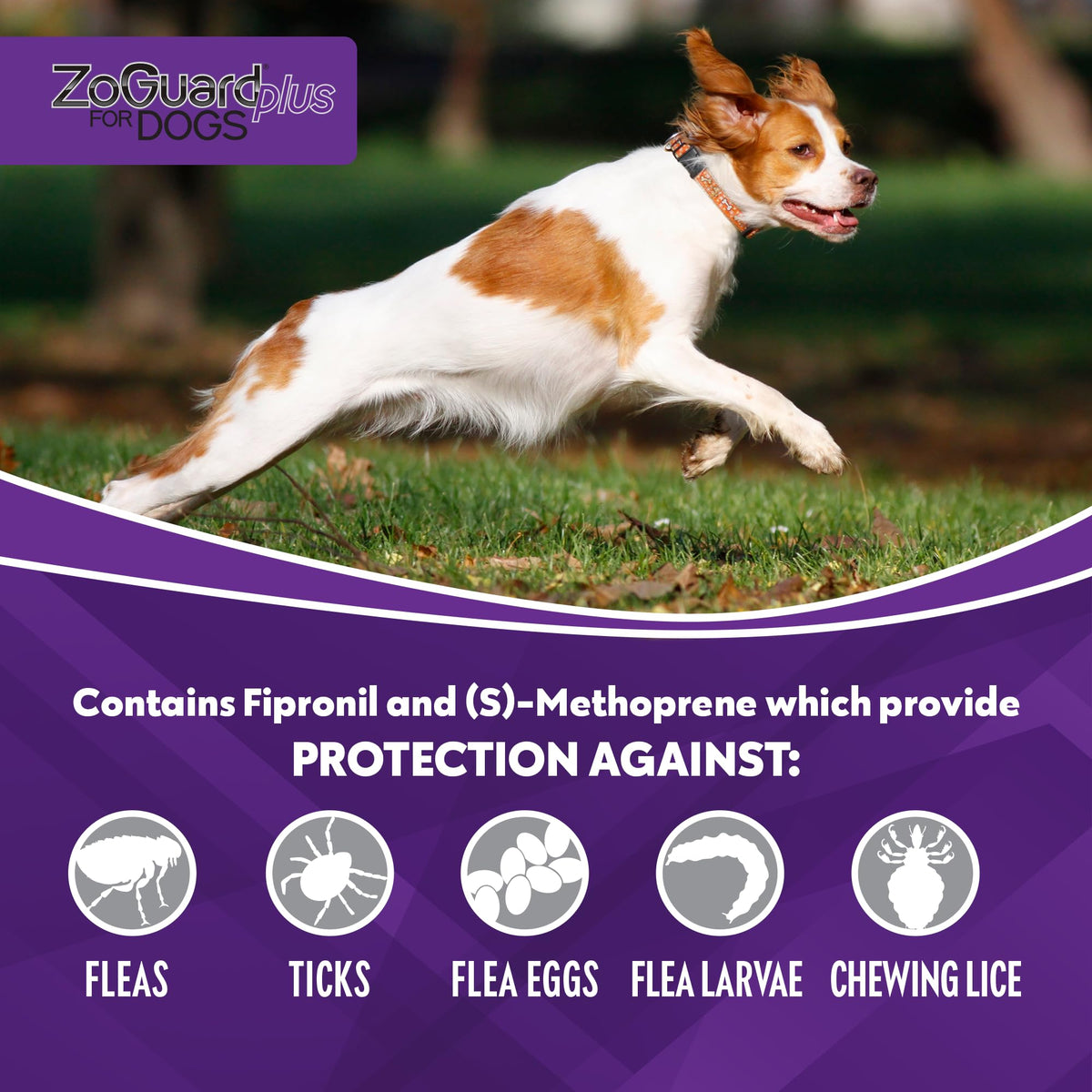 Flea and Tick Prevention for Medium Dogs 23-44lbs (3 Doses) L947