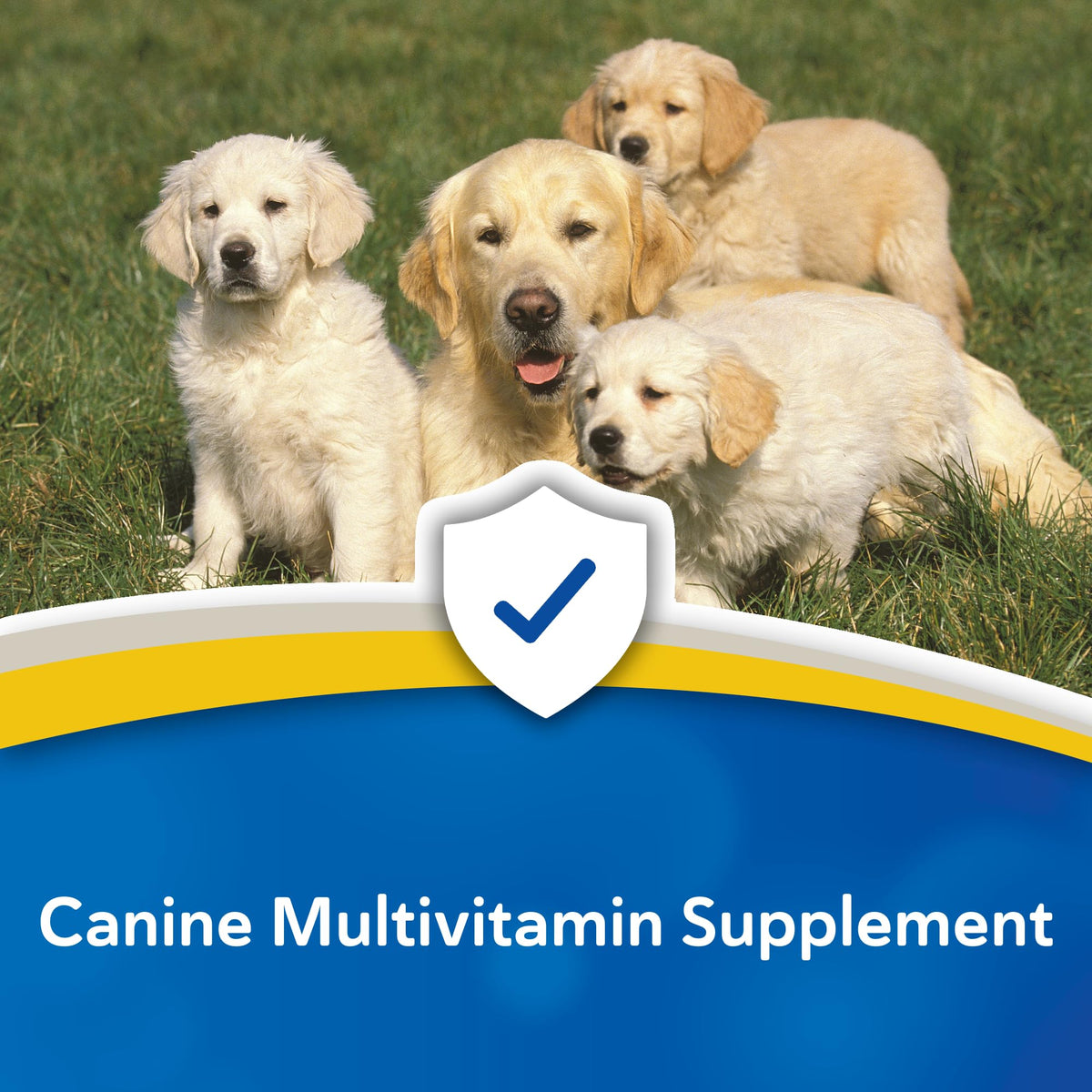 Canine Chewable Multivitamin Tablets 365ct B19745