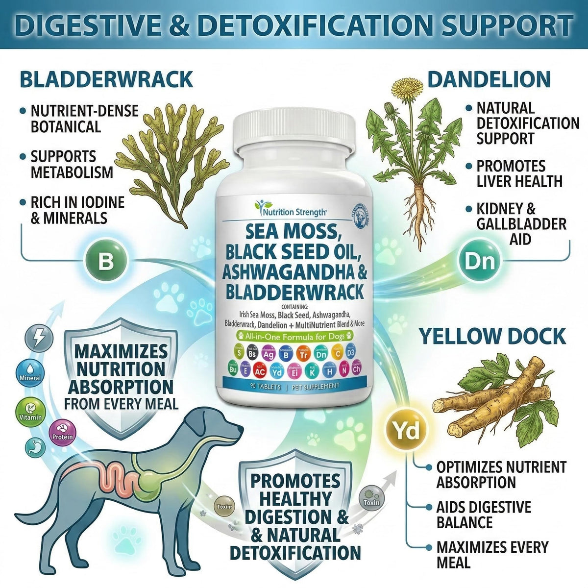 Sea Moss for Dogs L26954