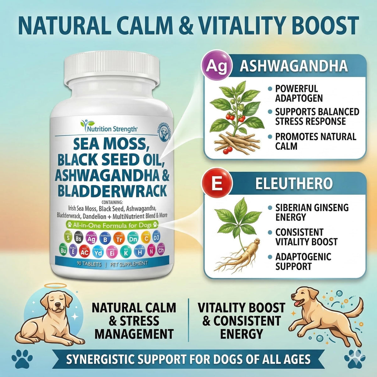 Sea Moss for Dogs L26954